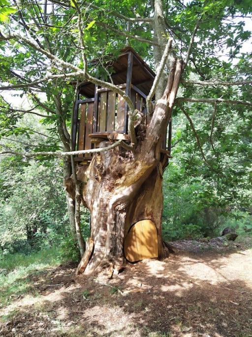 Quinta Do Borges 2 Apartment Guarda Bagian luar foto